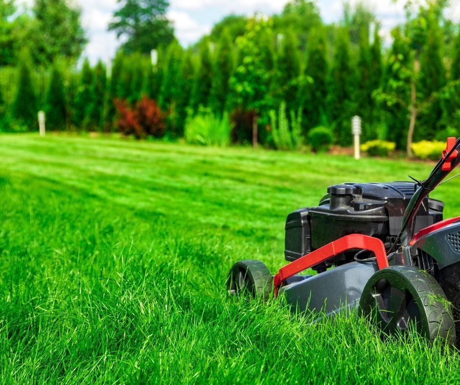 Professional Lawn Care Service