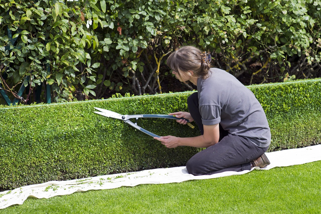 Landscaping