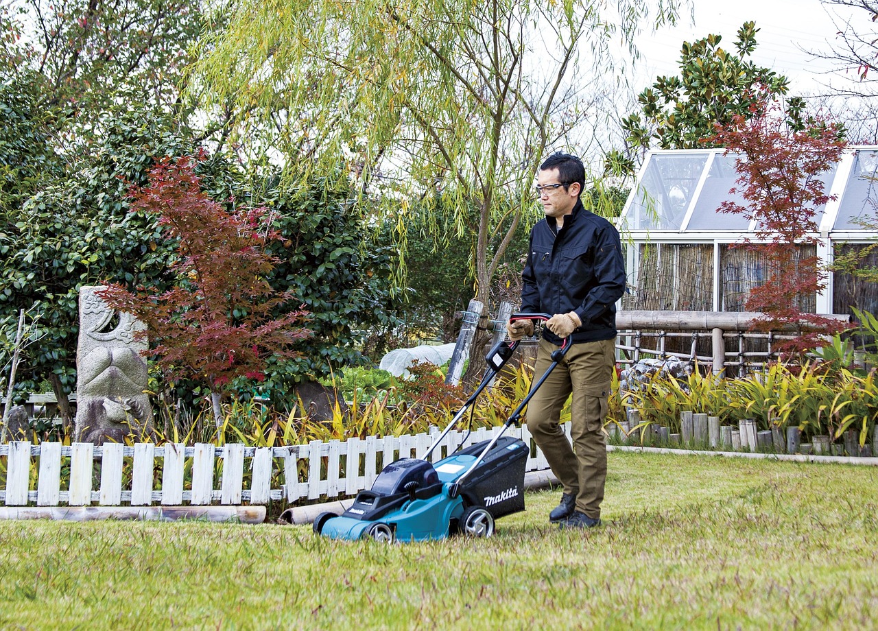 Professional Tree Work Service