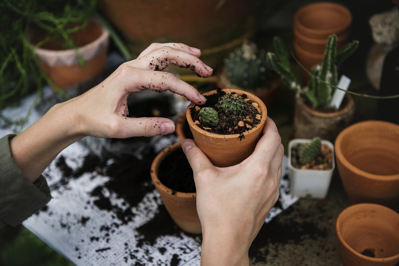 Garden Maintenance