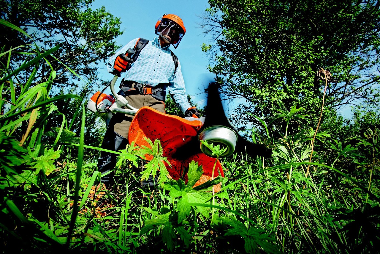 Grass Cutting