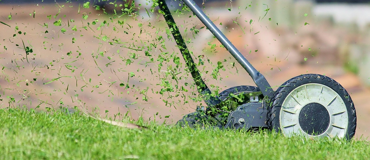 Garden Tidying Up Service